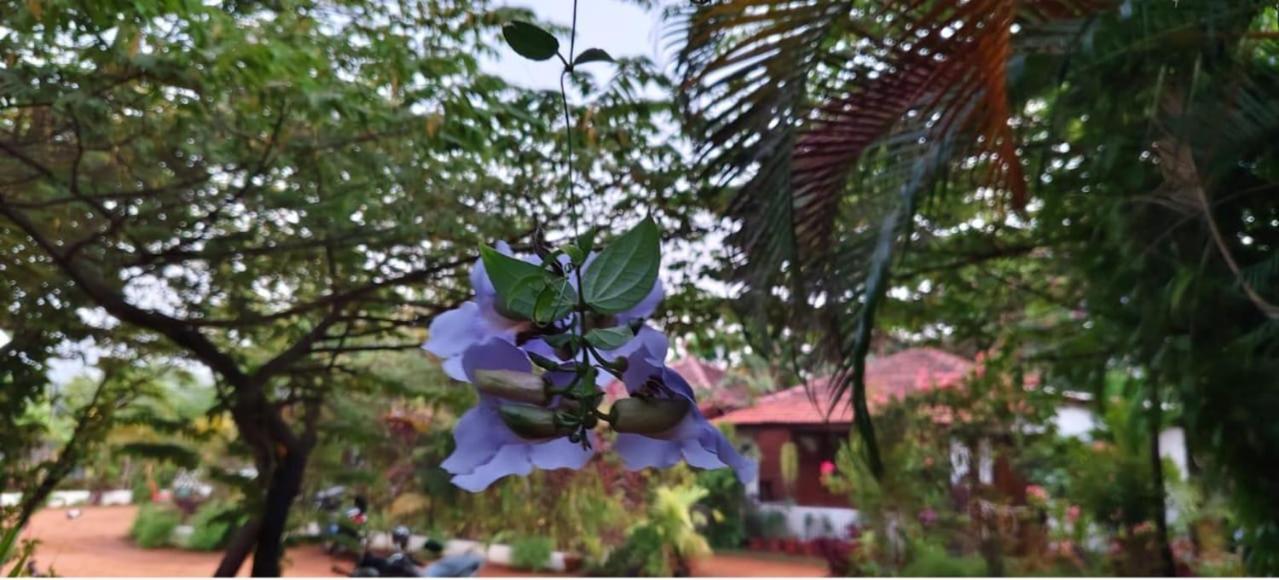 Niyati Home Stay Gokarna  Exterior photo